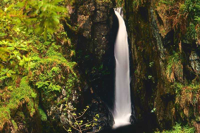 stanley-ghyll-force