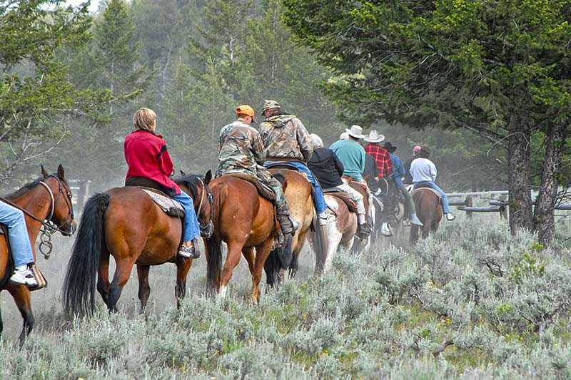 yellowstone-national-park-horse-riding-on-a-trail-at-mammoth-corral