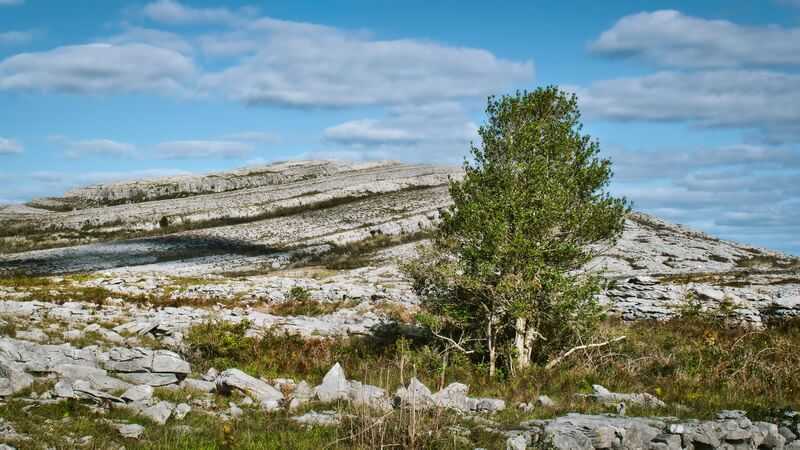 Bureen national park, county clare, ireland by karlocuki