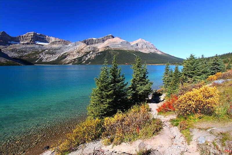 banff-national-park-scenic-view-of-bow-lake