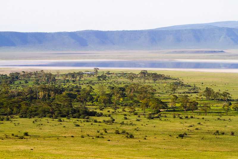 ngorongoro-crater-conservation-area