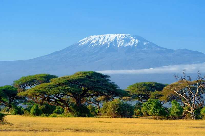 Kilimanjaro on african savannah by byrdyak