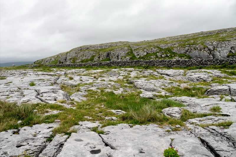 The Burren, County Clare, Ireland by GreensandBlues