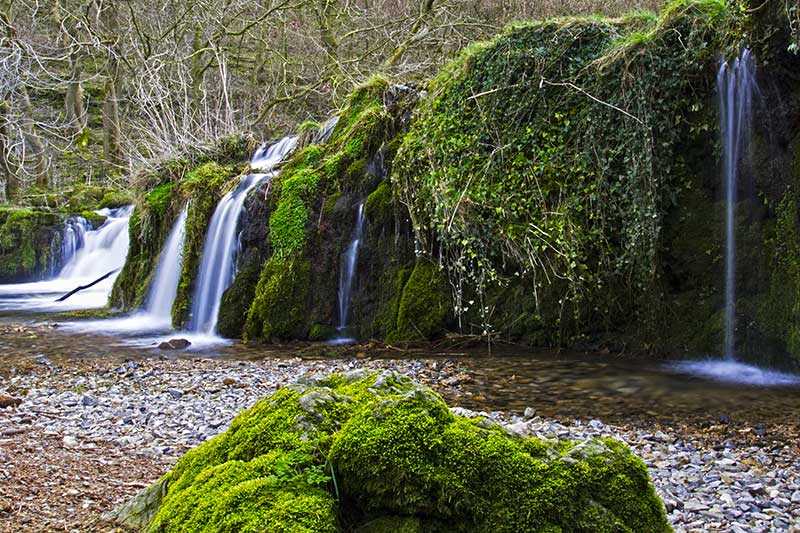 lathkill-dale-waterfall-over-mossy-rocks-lathkill-dale-in-the-derbyshire-dales-england