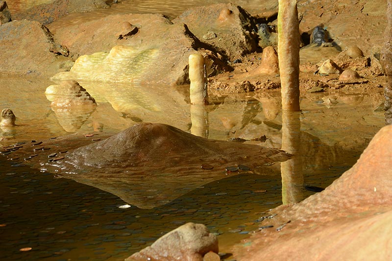 Gough's Cave | Natureflip