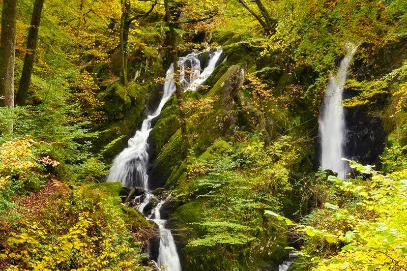 stock-ghyll-force-twin-waterfalls-at-stock-ghyll-force-ambleside-in-the-english-lake-district