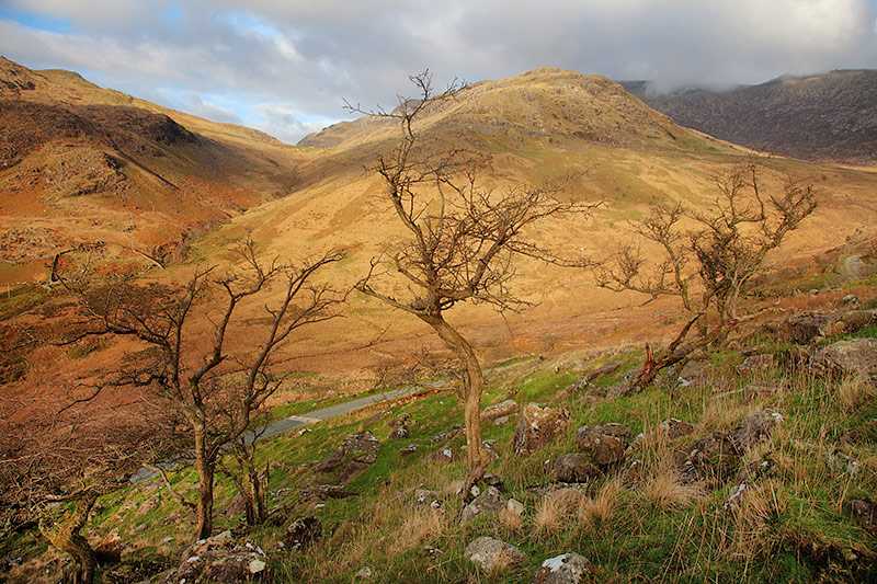 snowdonia-national-park-snowdonia-is-the-third-established-national-park-in-britain-after-peak