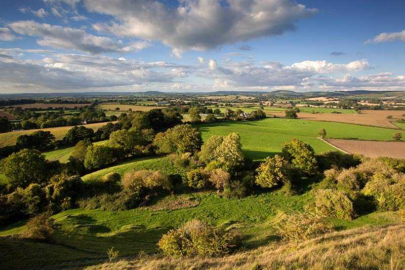 hambledon-hill-nature-reserve-looking-over-the-blackmore-vale-from-hambledon-hill-child-okeford