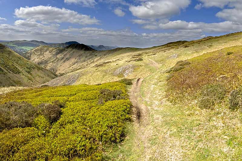 Shropshire Hills AONB | Natureflip