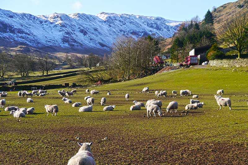 deepdale-valley-rural-scene-in-the-deepdale-valley-lake-district