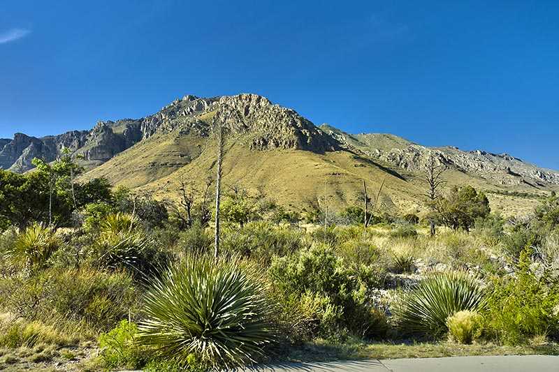 guadalupe-mountains-national-park