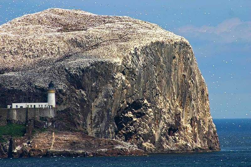 Bass Rock, Firth of Forth