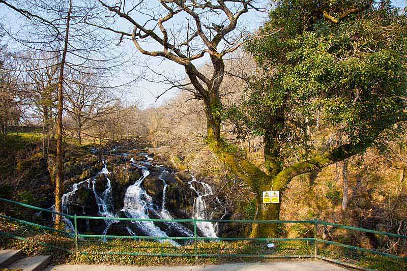 swallow-falls-swallow-falls-a-tourist-attraction-in-the-heart-of-snowdonia-north-wales