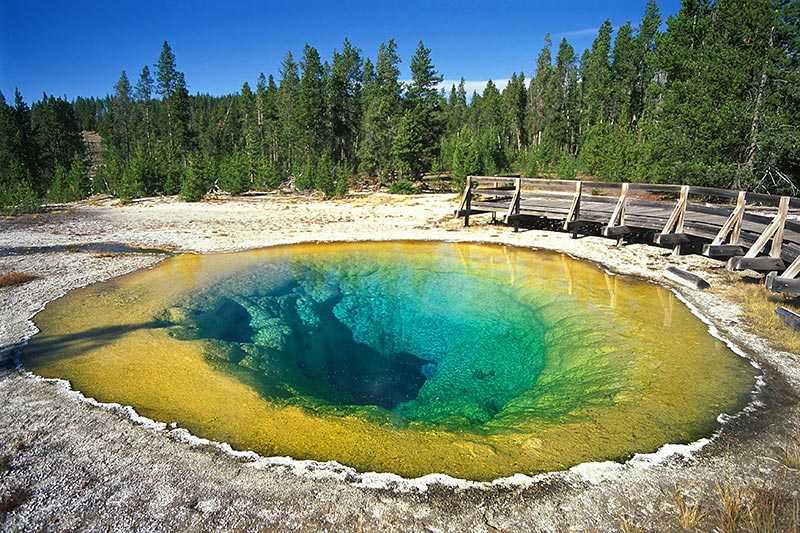 yellowstone-national-park-morning-glory-pool-in-the-upper-geyser-basin-of-yellowstone-national-park