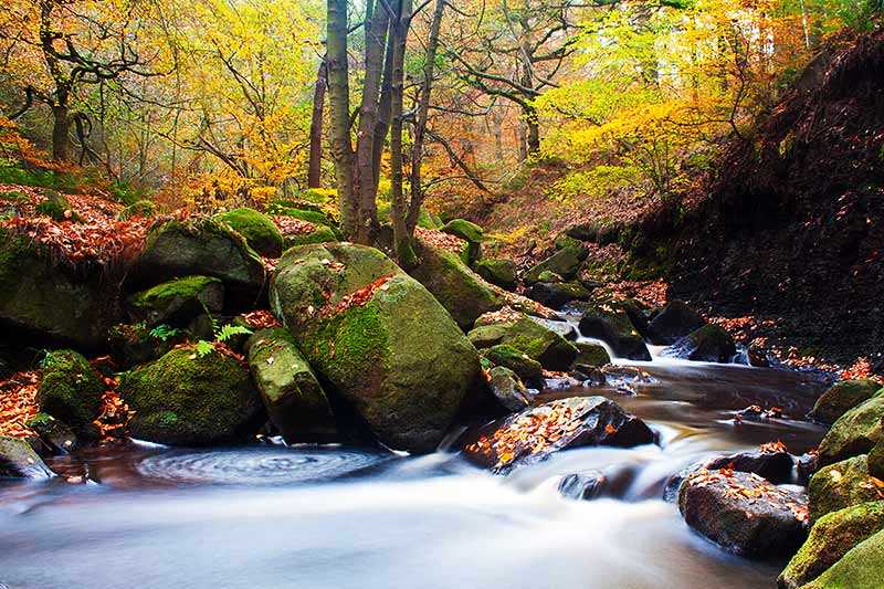 Padley Gorge Natureflip Padley Gorge Natureflip