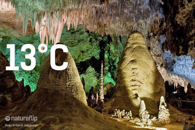 Keeping Cool At 13°C In Carlsbad Caverns Natureflip