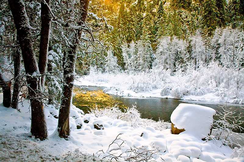yosemite-national-park-merced-river-in-yosemite-valley