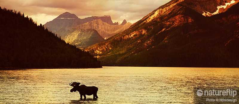 World-Class Hiking in Waterton Lakes National Park, Canada
