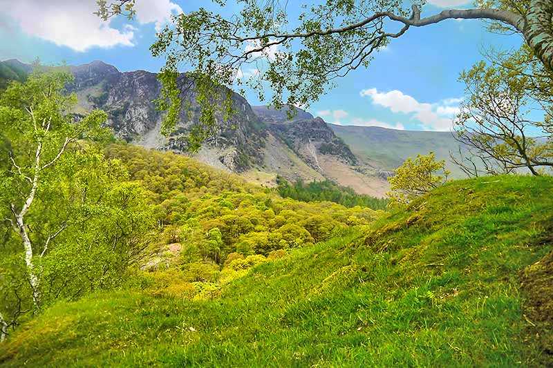 borrowdale-valley-scene-of-trees-and-mountains-in-borrowdale