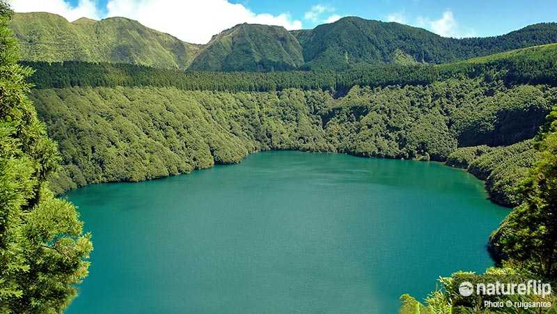 Swimming and Snorkelling on São Miguel Island
