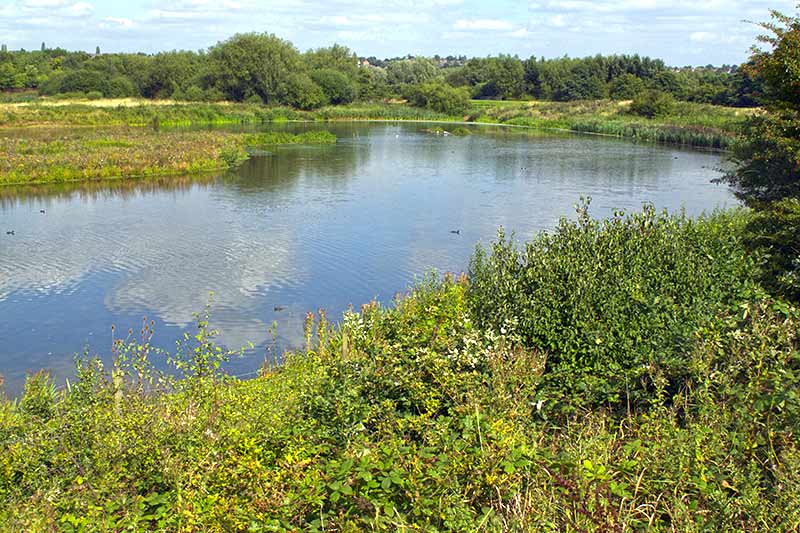 Sandwell Valley Country Park | Natureflip