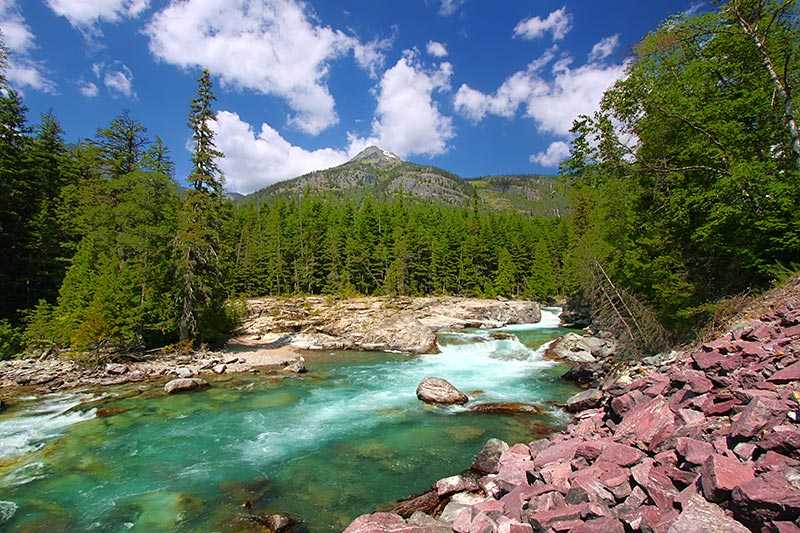 glacier-national-park-mcdonald-creek-flows-swiftly-through-the-forests
