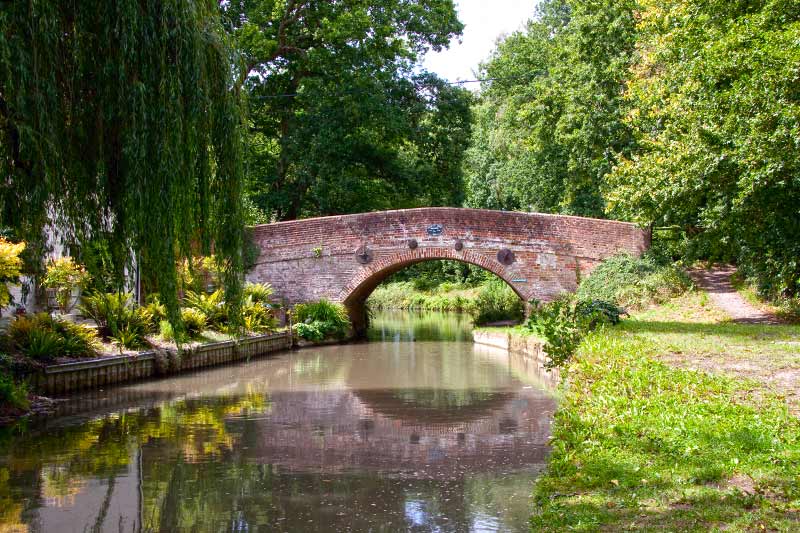 Basingstoke Canal Natureflip