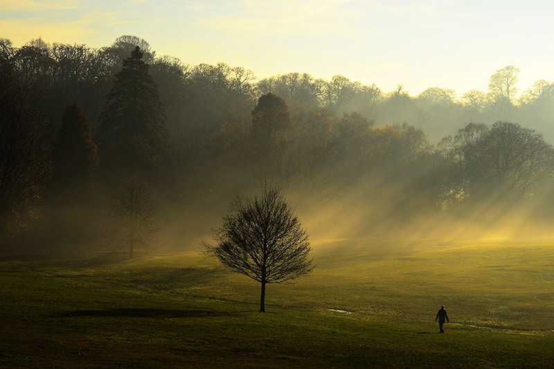 hampstead-heath-hampstead-heath-in-a-sunny-winter-day_0