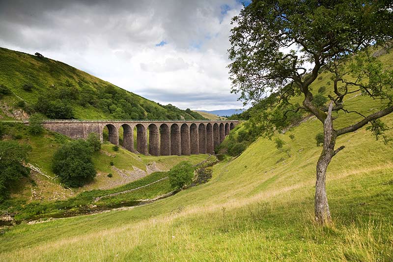 Smardale Gill Nature Reserve | Natureflip