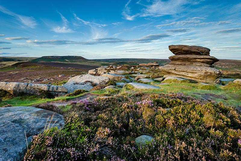 higger-tor-late-afternoon-summer-sun-illuminates-the-heather-in-the-foreground-with-higger-tor-in