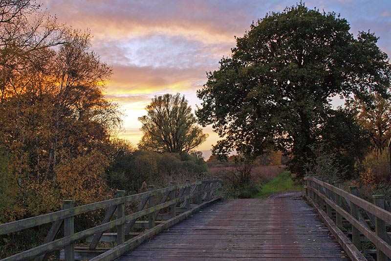 woodwalton-fen-nature-reserve-autumn-sunset-at-woodwalton-fen-in-england