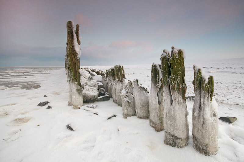 wadden-sea-in-netherlands-wadden-sea-shores-in-wintertime