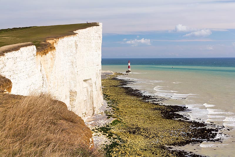 South Downs National Park | Natureflip