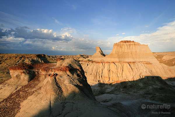 Fossil Safari Anyone? We recommend Dinosaur Provincial Park in Canada