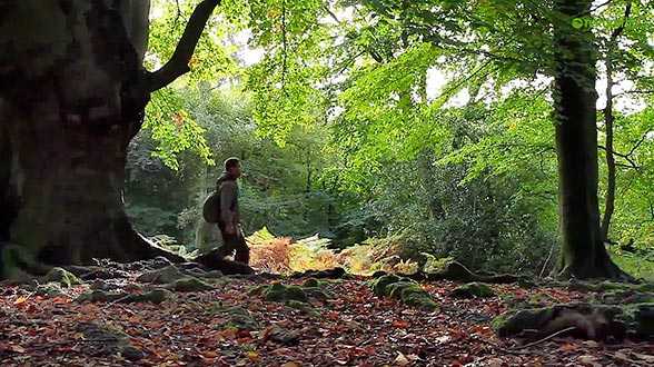 Exploring Epping Forest - The Video (Trailer)