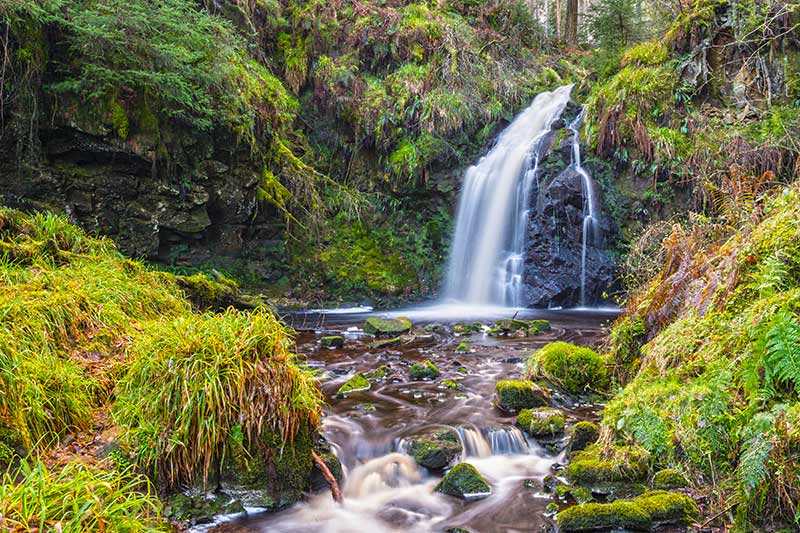 hindhope-linn-waterfall-the-waterfall-in-summer-time