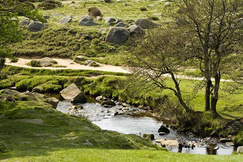 Longshaw Junction Longshaw Country Park | Natureflip