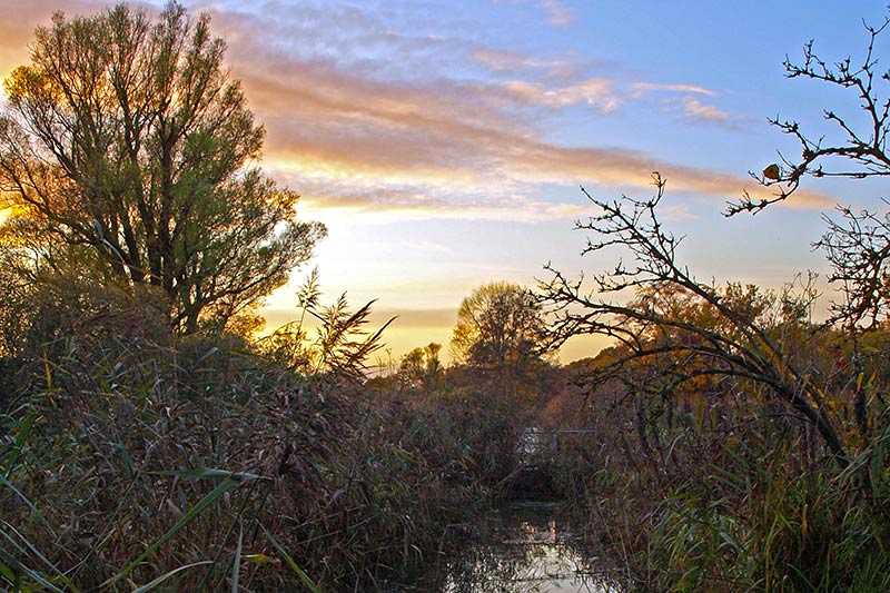 woodwalton-fen-nature-reserve-autumn-sunset-at-woodwalton-fen-in-england_0
