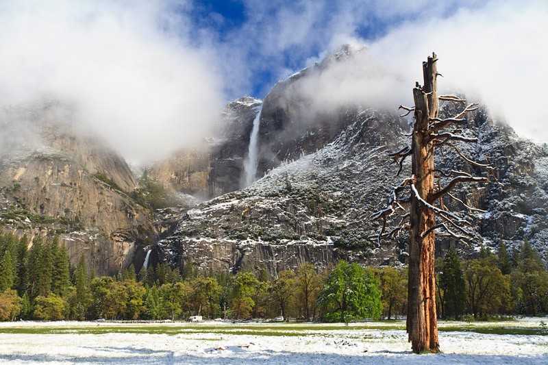 Yosemite National Park | Natureflip