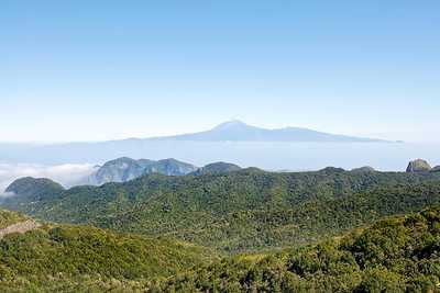 Garajonay National Park Natureflip
