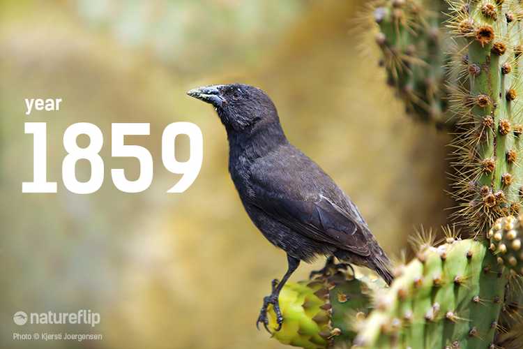 the-famous-year-of-1859-and-the-origin-of-species-natureflip