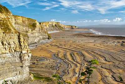 Southerndown Coast | Natureflip