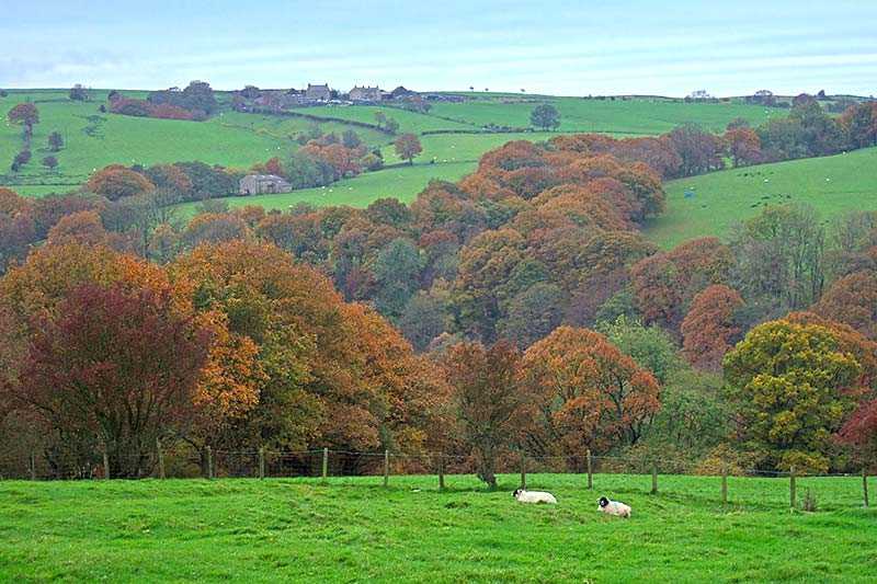 forest-of-bowland-aonb