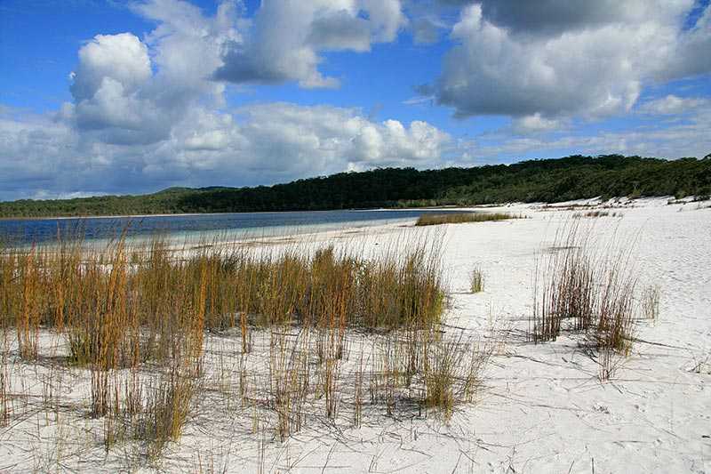 fraser-island-the-island-has-been-designated-as-unesco-world-heritage-site-in-1993