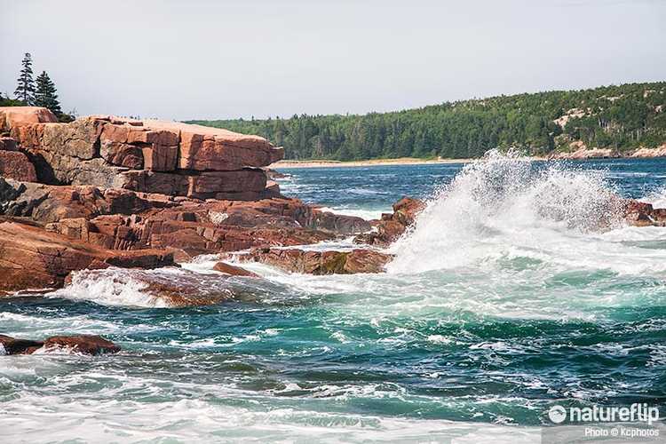 Enjoy Water Activities in Acadia National Park Natureflip