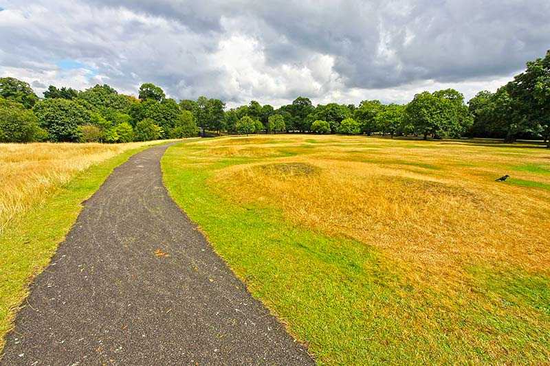 greenwich-park-greenwich-park-in-summer-time