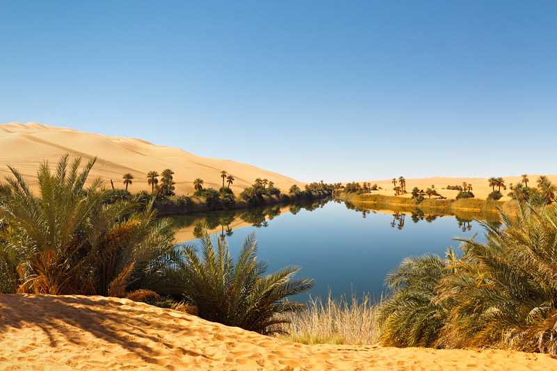 sahara-desert-umm-al-ma-lake-an-idyllic-oasis-in-the-awbari-sand-sea