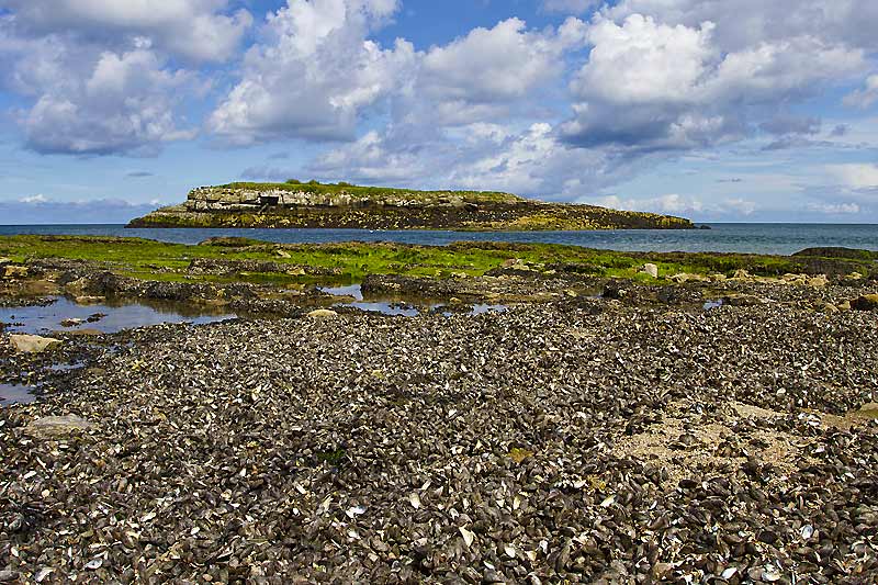 Moelfre Island Beach Natureflip