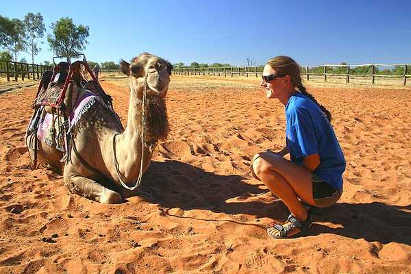 Camel Riding In The Australian Outback