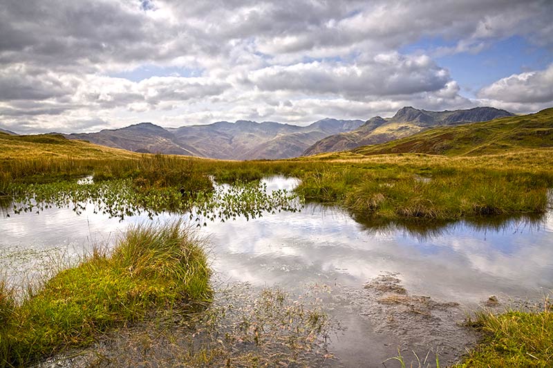 Blea Rigg Difficulty Blea Rigg | Natureflip